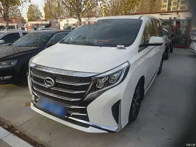 2021 GAC Trumpchi Trumpchi M8 Leading Show Series 390T Premium Edition, фото 1, лот 10426384