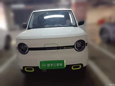 2025 Geely Galaxy Panda mini 210km Vitality Bear, фото 2, лот 10430842