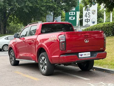 2021 Great Wall Pao 2.0T Passenger Global Edition Automatic Gasoline 4WD Sport Standard Box GW4C20B, фото 4, лот 10246360