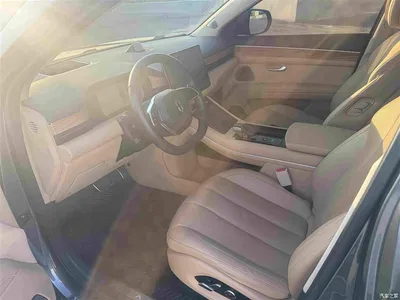 2022 AITO Wenjie AITO M7 1.5T RWD Comfort Edition, фото 4, лот 10276537