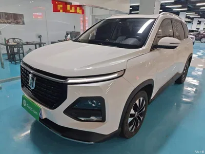 2021 Baojun 530 Global Vehicle Anniversary Edition 1.5T CVT Premium Connected 7-seater, фото 2, лот 10409423