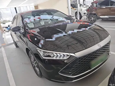 2023 BYD Qin PLUS Champion Edition DM-i 55KM Surpassing, фото 4, лот 10362791