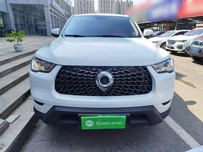 2021 Great Wall Pao 2.0T Commercial Edition Manual Diesel 4WD Elite Long Box GW4D20M, фото 3, лот 10246319