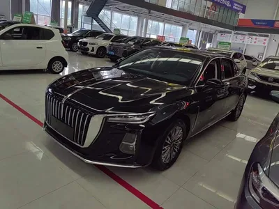 2024 Hongqi H5 1.5T DCT Smart Connect Flag Joy Edition, фото 1, лот 10361029