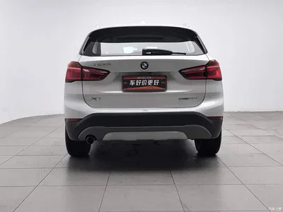 2019 BMW X1 sDrive18Li Premium Model, фото 4, лот 10902310