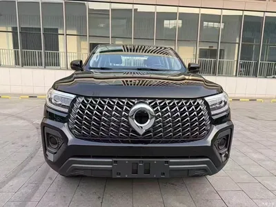 2024 Great Wall Pao Model 2.4T Commercial Version Automatic Diesel 4WD Elite Type, фото 2, лот 10842732
