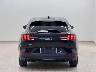 2021 Ford Mustang Mach-E Boundless RWD Luxury (Long Range), фото 4, лот 10413943