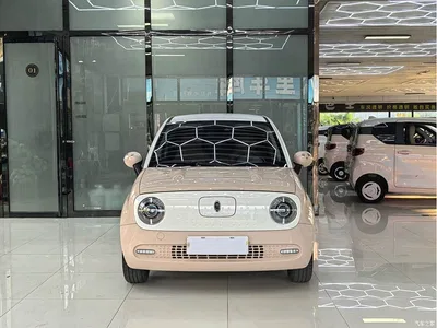 2021 Ora Black Cat 405km Long Range Model, фото 2, лот 11492627