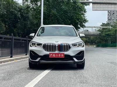 2020 BMW X1 sDrive20Li Fashion Model, фото 2, лот 10424593