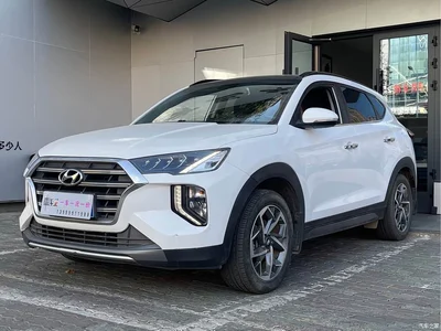 2019 Hyundai Tucson 280TGDi Dual-clutch 2WD Fashion Edition China VI, фото 1, лот 10819335