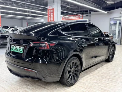 2021 Tesla Model Y Standard Range Rear-Wheel Drive, фото 4, лот 11476516