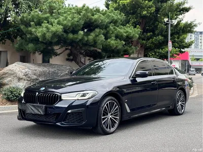 2022 BMW 5 Series Facelift 530Li Leading M Sport Package, фото 1, лот 11089602