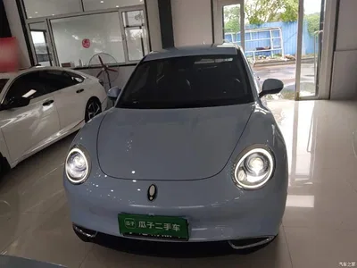 2022 Ora Good Cat 400km Standard Range Luxury NMC, фото 3, лот 10330506