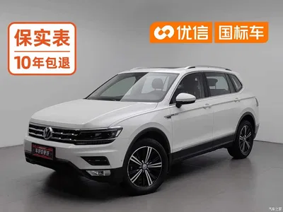 2017 Volkswagen Tiguan L 330TSI Automatic 2WD Flagship Edition, фото 1, лот 11184254