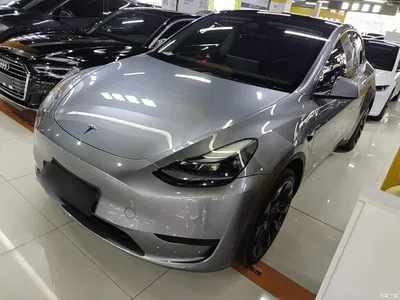 2024 Tesla Model Y Rear-Wheel Drive Version, фото 1, лот 10370267