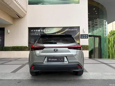 2024 Lexus UX 300h Fun Explorer Edition, фото 4, лот 10441738