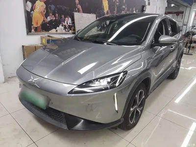 2020 XPeng G3 520 Smart Edition, фото 2, лот 10482319