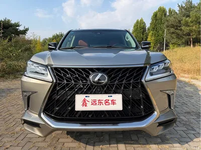 2019 Lexus LX, фото 2, лот 10764064