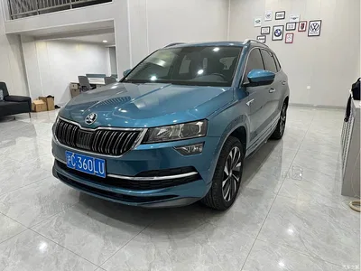 2022 Škoda Karoq TSI280 Luxury Edition, фото 1, лот 10348464
