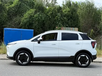 2024 Geely E Firefly Model 301km Light Flow, фото 4, лот 11169926