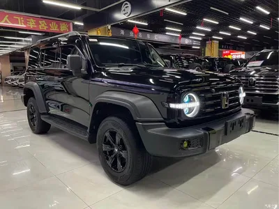 2024 Tank 300 Model 2.0T Challenger, фото 3, лот 10351065