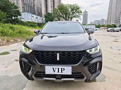 2019 WEY VV5 Upgrade 2.0T 2WD Ultra Luxury China V, фото 1, лот 10452170