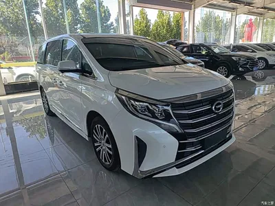 2021 GAC Trumpchi Trumpchi M8 Leading Show Series 390T Ultimate Edition, фото 4, лот 10421750