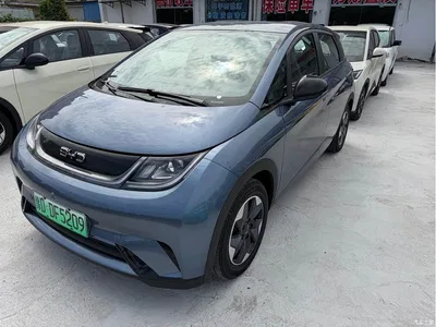 2025 BYD Dolphin 420km Freedom Edition, фото 1, лот 10257301