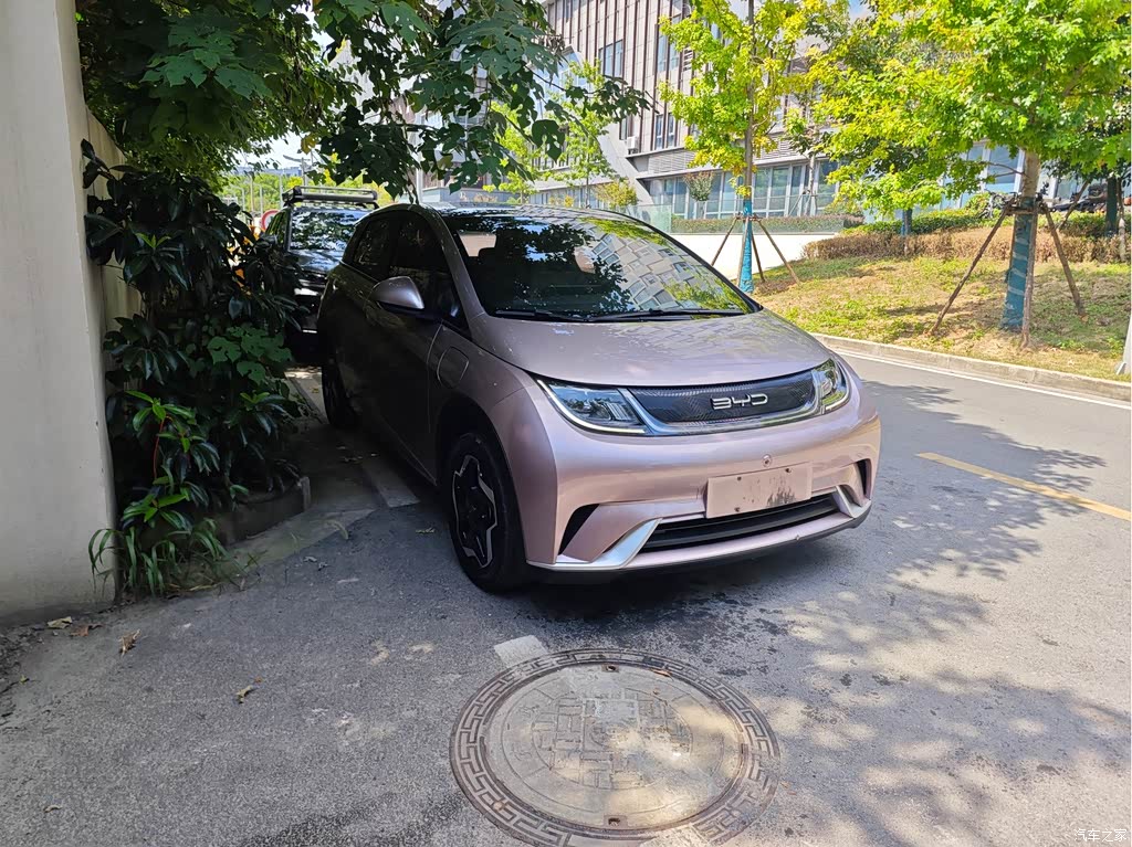 2021 BYD Dolphin Model 405km Fashion Edition, фото 3, лот 11223266
