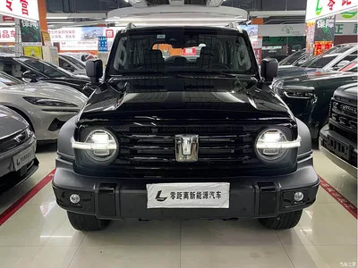 2025 Tank 300 New Energy Hi4-T 36.7kWh Edition, фото 2, лот 10344912