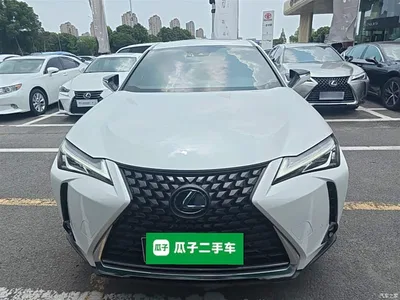 2020 Lexus UX 260h Explore Fun Edition, фото 3, лот 10320222