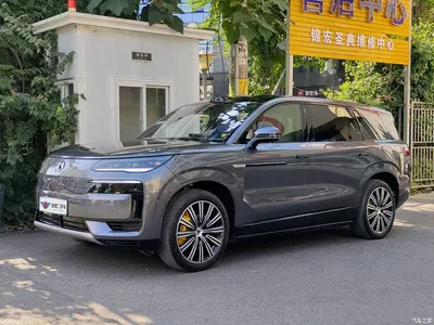 2025 Denza N9 Flagship Model, фото 1, лот 10355348