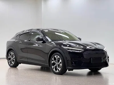 2021 Ford Mustang Mach-E Boundless RWD Luxury (Long Range), фото 2, лот 10413943
