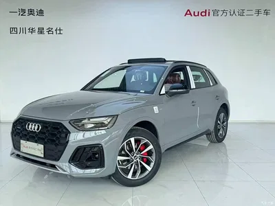 2025 Audi Q5L 45th Anniversary Edition 40 TFSI Luxury Sport, фото 1, лот 10234506