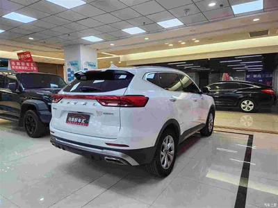 2021 Haval H6 Model National Trend Edition 1.5T Auto Champion, фото 2, лот 10283267