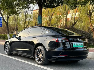 2021 Tesla Model 3 Standard Range Rear-Wheel Drive Upgrade, фото 3, лот 10353762