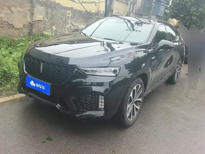 2017 WEY VV7 2.0T Luxury, фото 1, лот 10451853