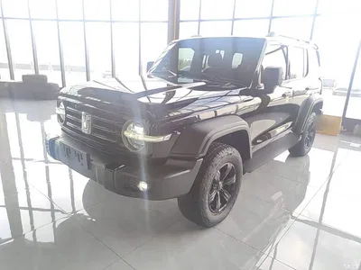 2021 Tank 300 Off-road Version 2.0T Conqueror, фото 1, лот 10621791