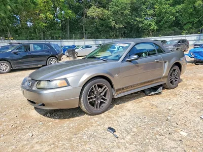 2002 FORD MUSTANG, фото 1, лот 10982106