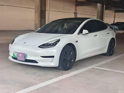 2020 Tesla Model 3 Facelift Standard Range RWD Upgrade, фото 1, лот 10361607