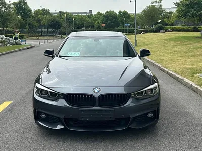 2019 BMW 4 Series 425i Gran Coupe M Sport Package, фото 2, лот 10398605