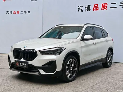 2022 BMW X1 sDrive25Li Leading, фото 1, лот 10237385