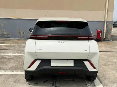 2024 BYD Seagull Glory Edition 305km Vitality Edition, фото 4, лот 10254996