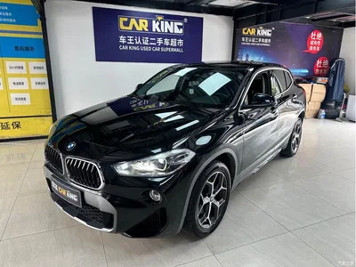 2019 BMW X2 (Import) sDrive20i M Off-Road Package China VI, фото 1, лот 10671324