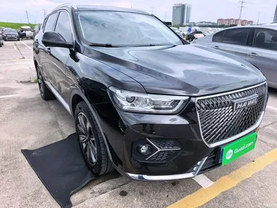 2021 Haval H6 2.0GDIT Automatic Champion Edition, фото 4, лот 10285830