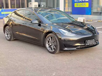 2022 Tesla Model 3 Model Rear-Wheel Drive Version, фото 3, лот 11586497