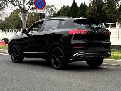 2020 Haval H6 2.0GDIT Automatic GT Champion Edition, фото 4, лот 10299940