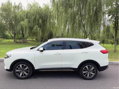 2023 Haval H6 National Trend Edition 1.5T Automatic Champion, фото 4, лот 10283567