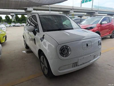 2021 Ora Black Cat 301km Basic Model, фото 4, лот 10330737