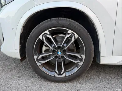 2023 BMW X1 sDrive25Li M Sport Package, фото 4, лот 11243778